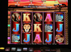 森林舞会电玩城手机版